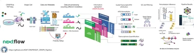 IGVF Consortium CRISPR Screen Pipeline featured image
